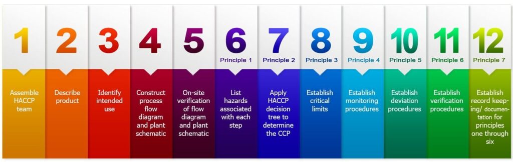 12 steps of haccp