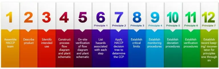 12 steps of haccp