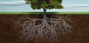 Root cause analysis RCA for food safety HACCP